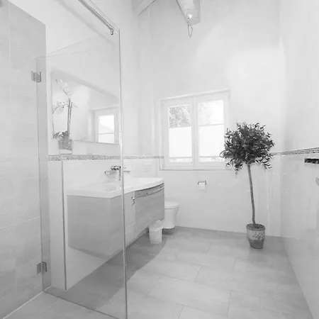 Chalet Mit Spa 公寓
